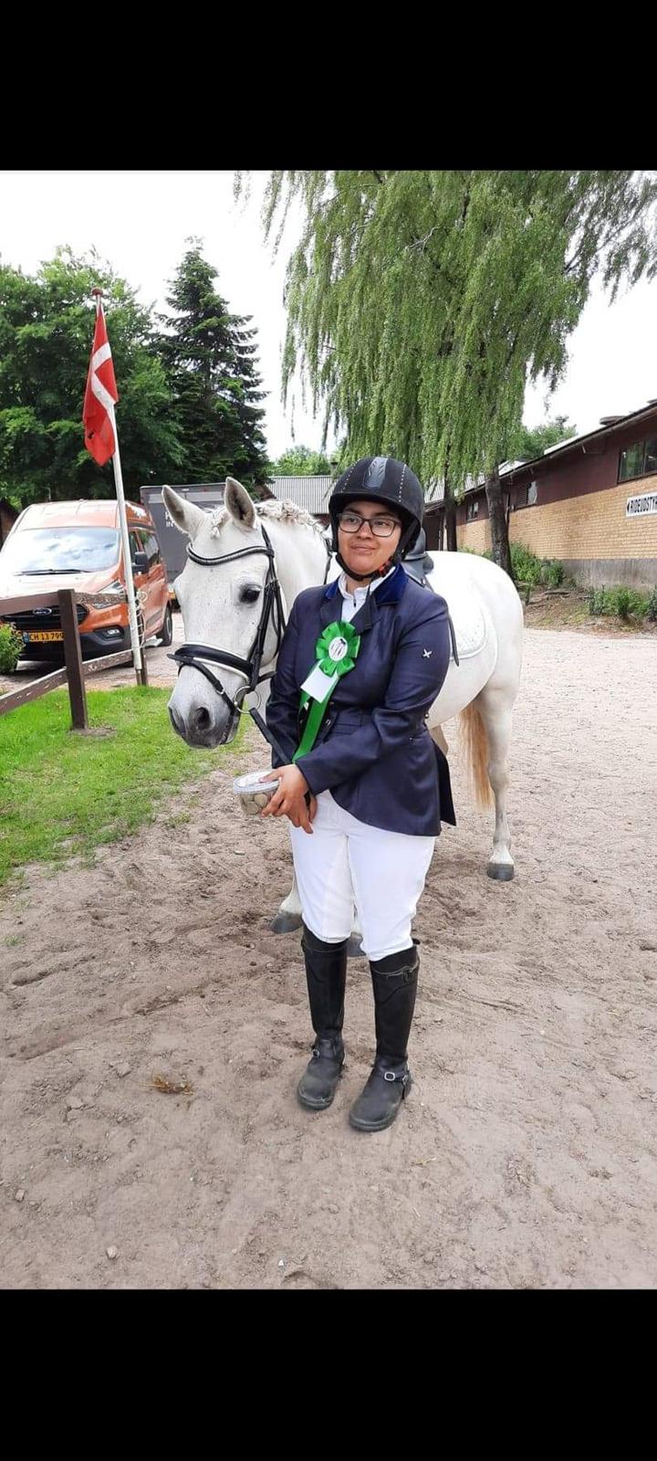 Connemara Aabæks Robin Lee (Cozmo) billede 10