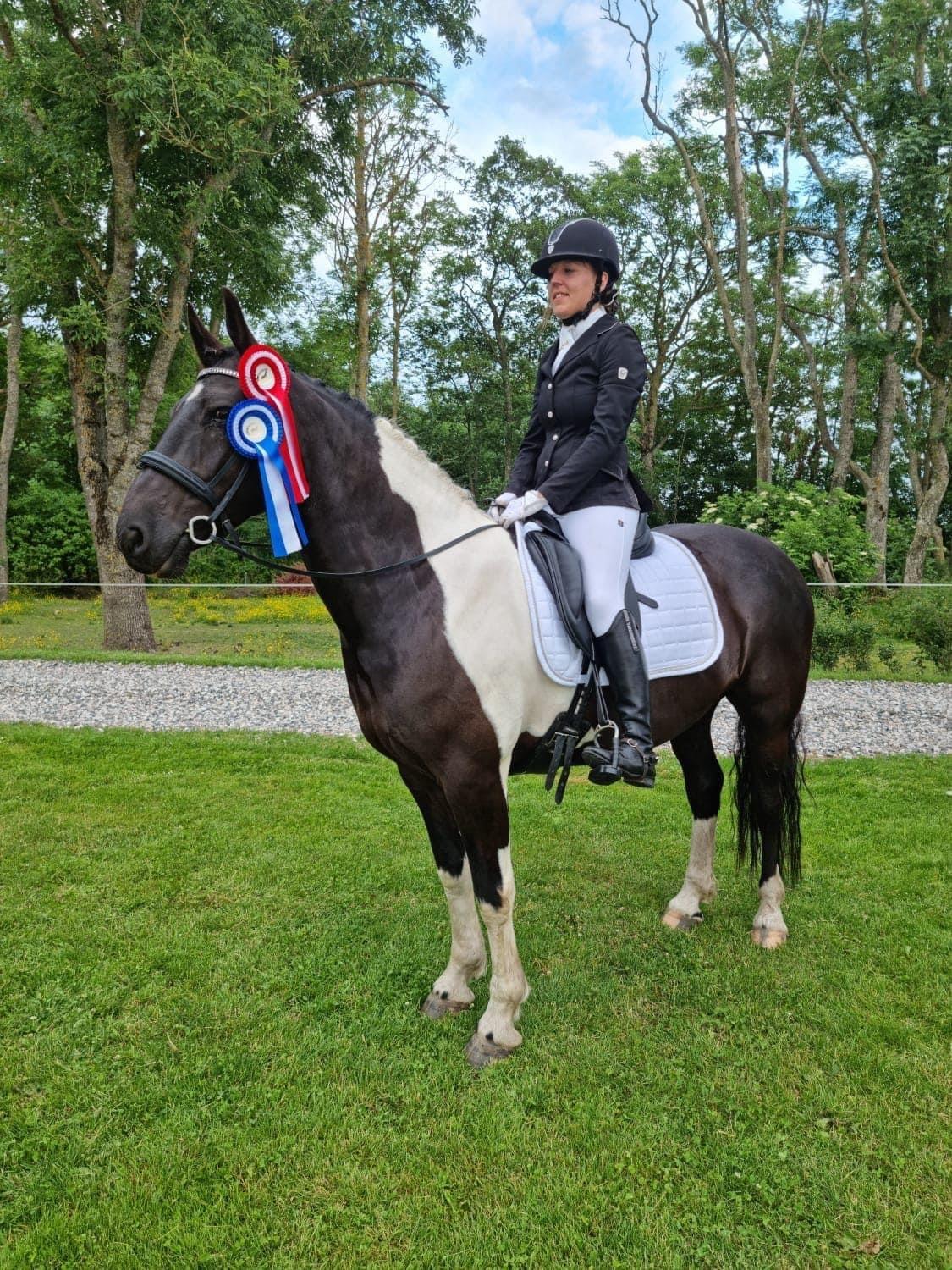 Barockpinto New Star  - Bønderskovgårds aftenstævne 25/6 2021 billede 18