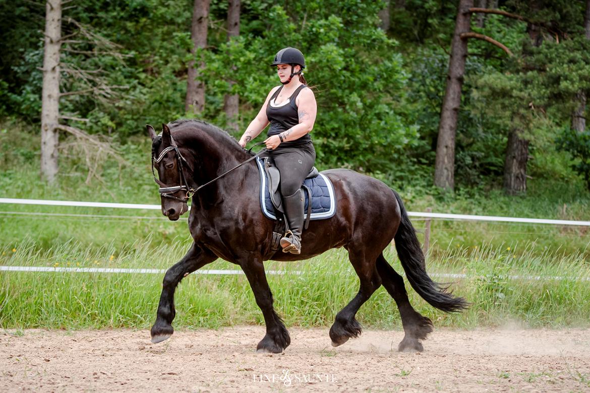 Frieser And They Named Him Lucky billede 49