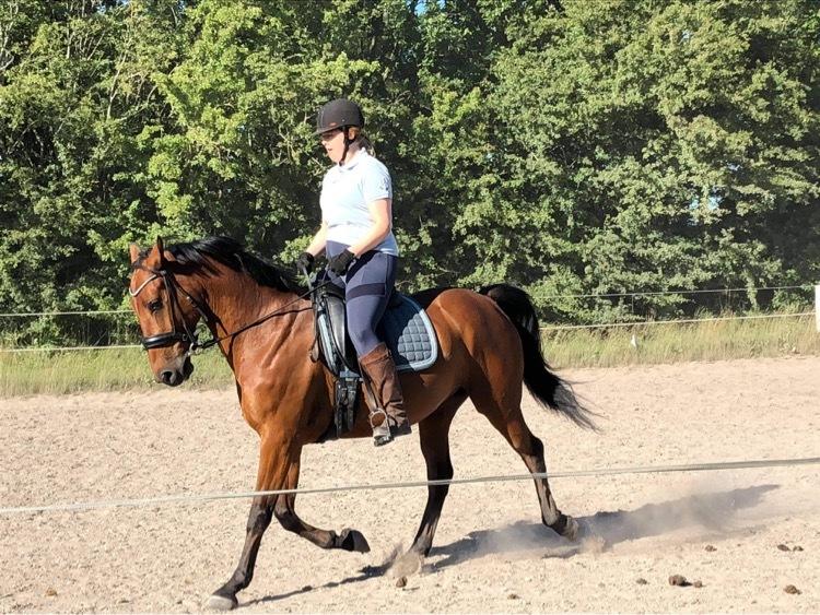 Anden særlig race Gniden (Tops) - Dressur juli 2021 billede 15