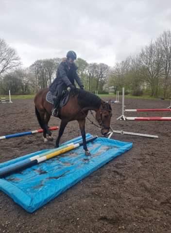 Anden særlig race - Donna - Da jeg prøvede Donna. Silende regn og mærkelige ting at skulle gå på. Hun tog det så pænt billede 4