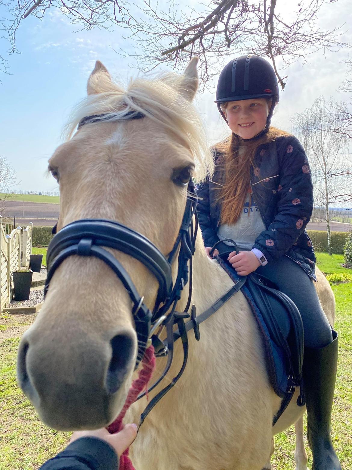 Welsh Partbred (Sec F) ALS Morning Rain - Første ridetur i Danmark! billede 10