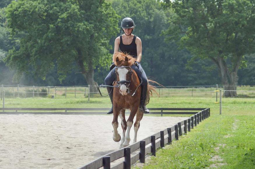 Welsh Pony af Cob-type (sec C) Noerrelide's Northern Light - Hygge på ridebanen 4 juli 2021 billede 2