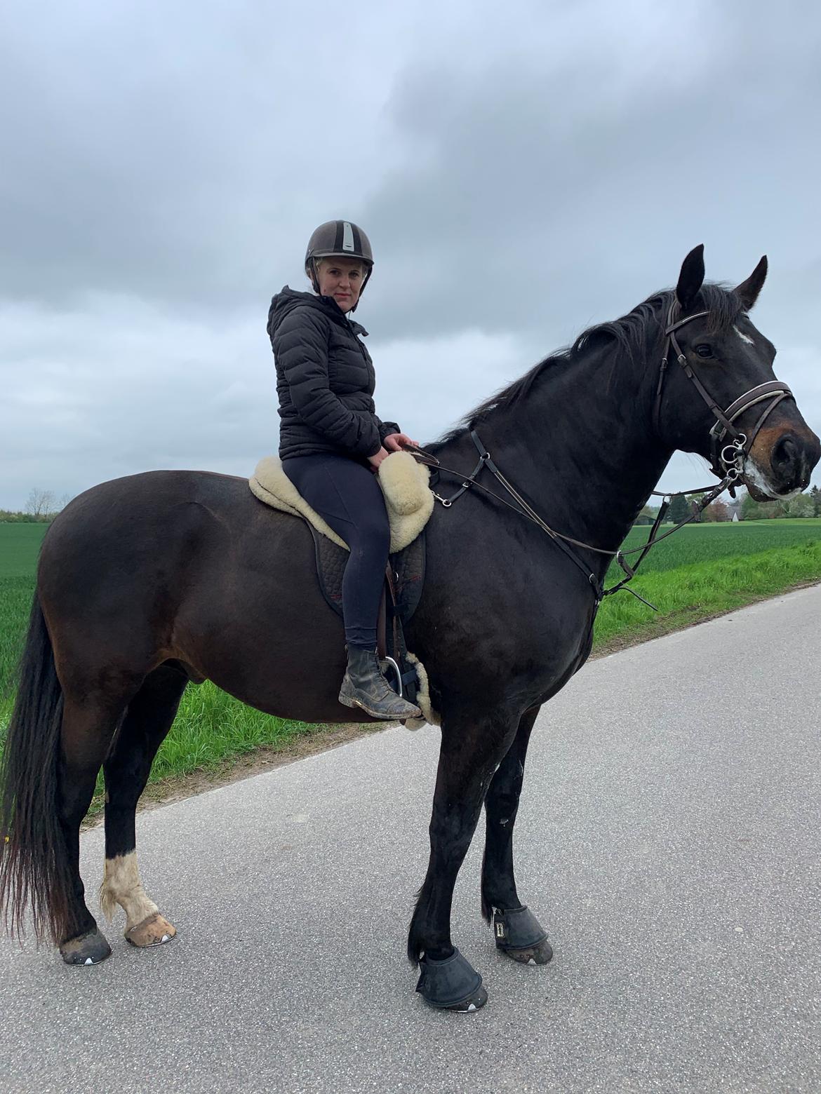 Oldenborg Halkjærs Oskar billede 14