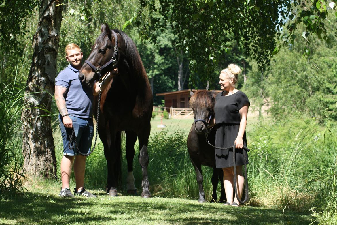 Oldenborg Halkjærs Oskar billede 16