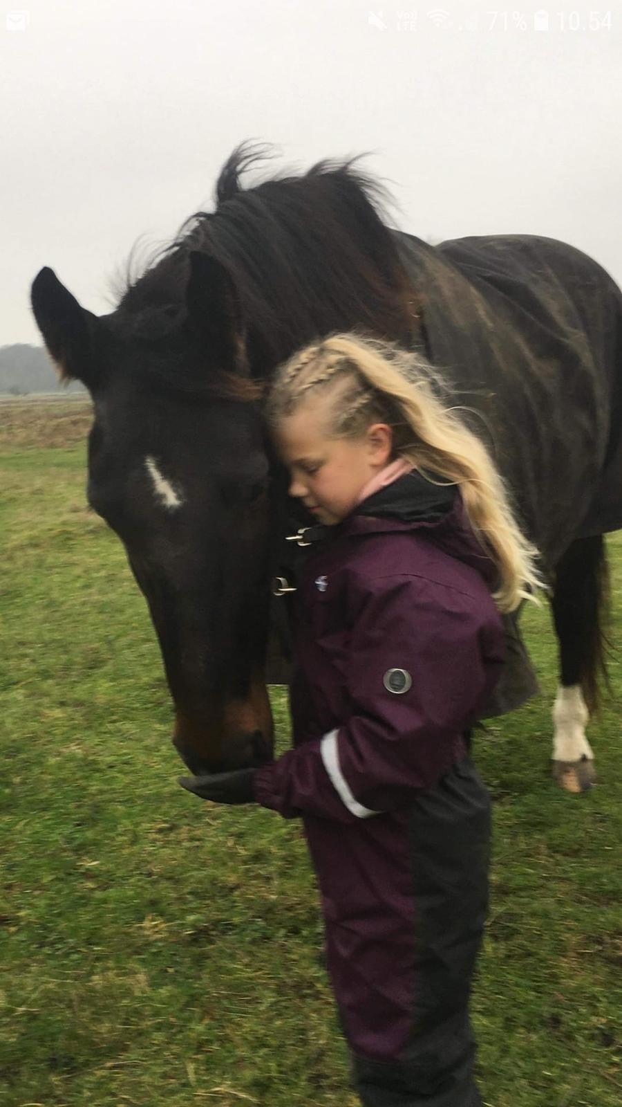 Oldenborg Halkjærs Oskar billede 18