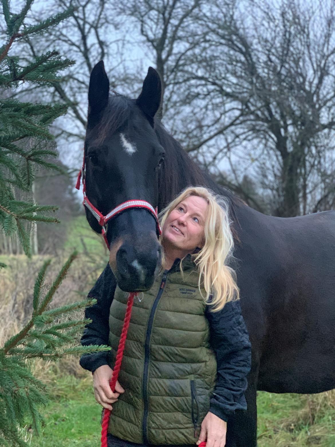 Oldenborg Halkjærs Oskar billede 19