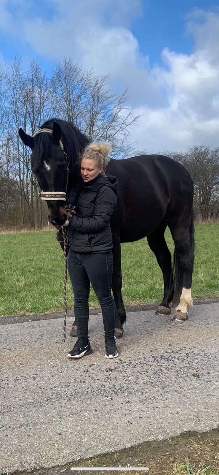 Oldenborg Halkjærs Oskar billede 20
