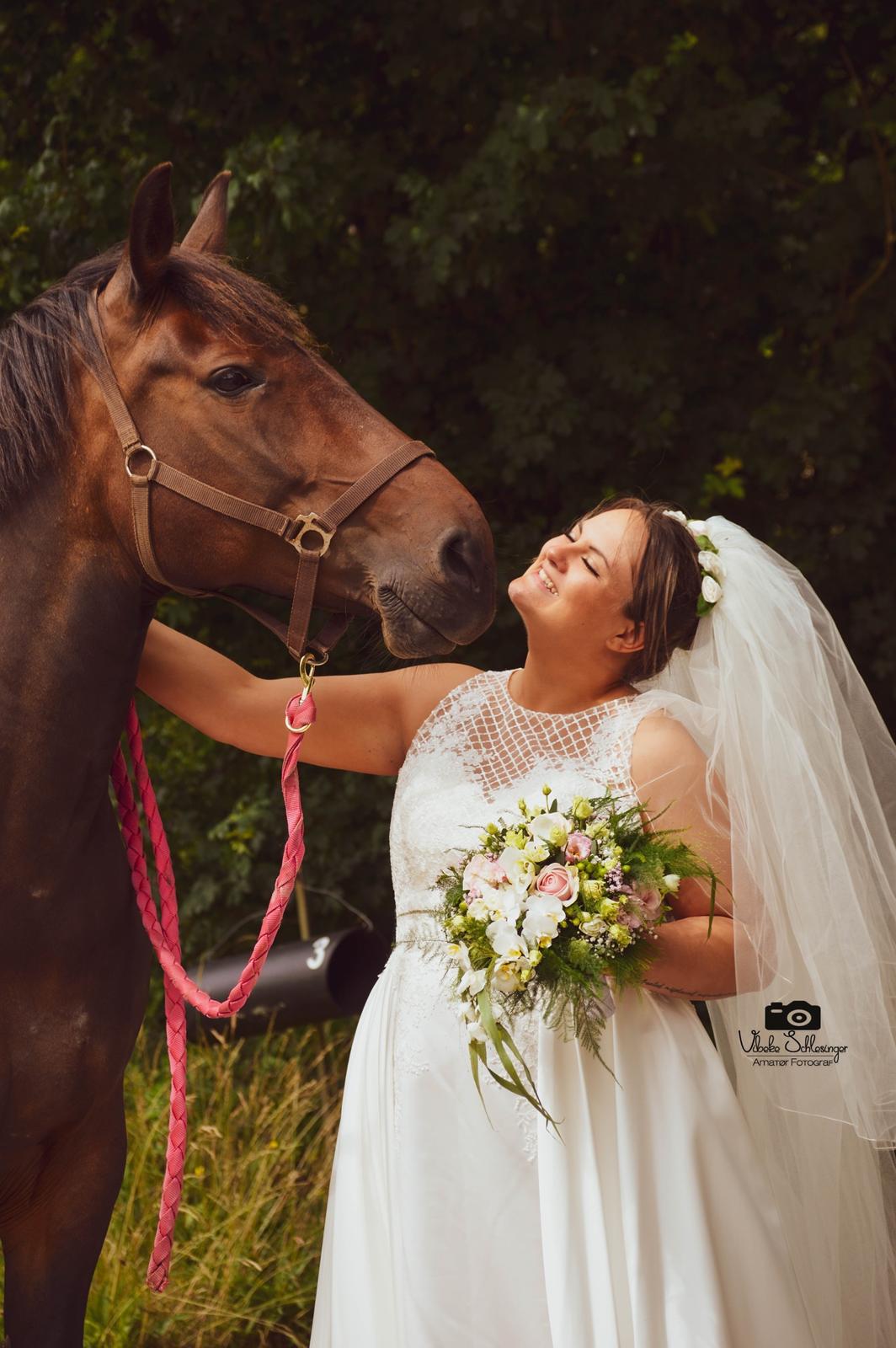 Oldenborg Zafine Macoy billede 11