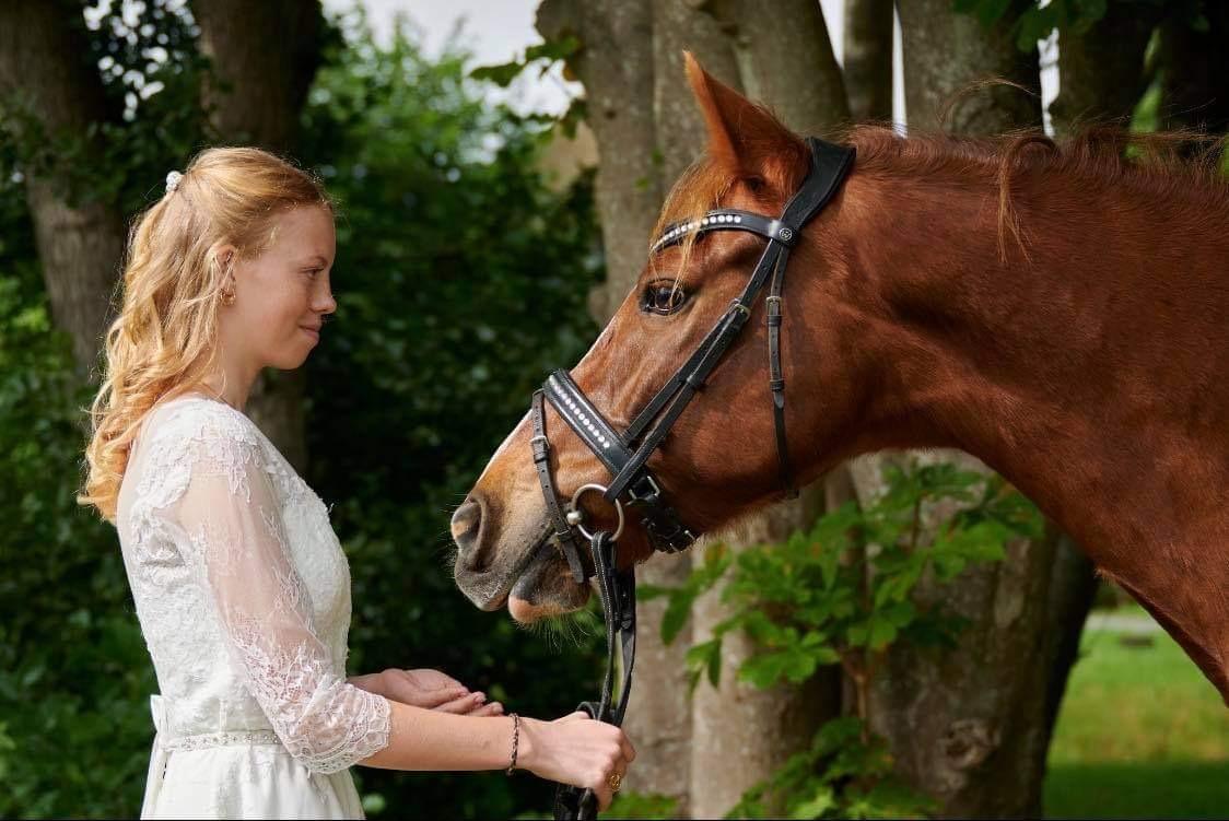 DSP Snorgaards Mango billede 7