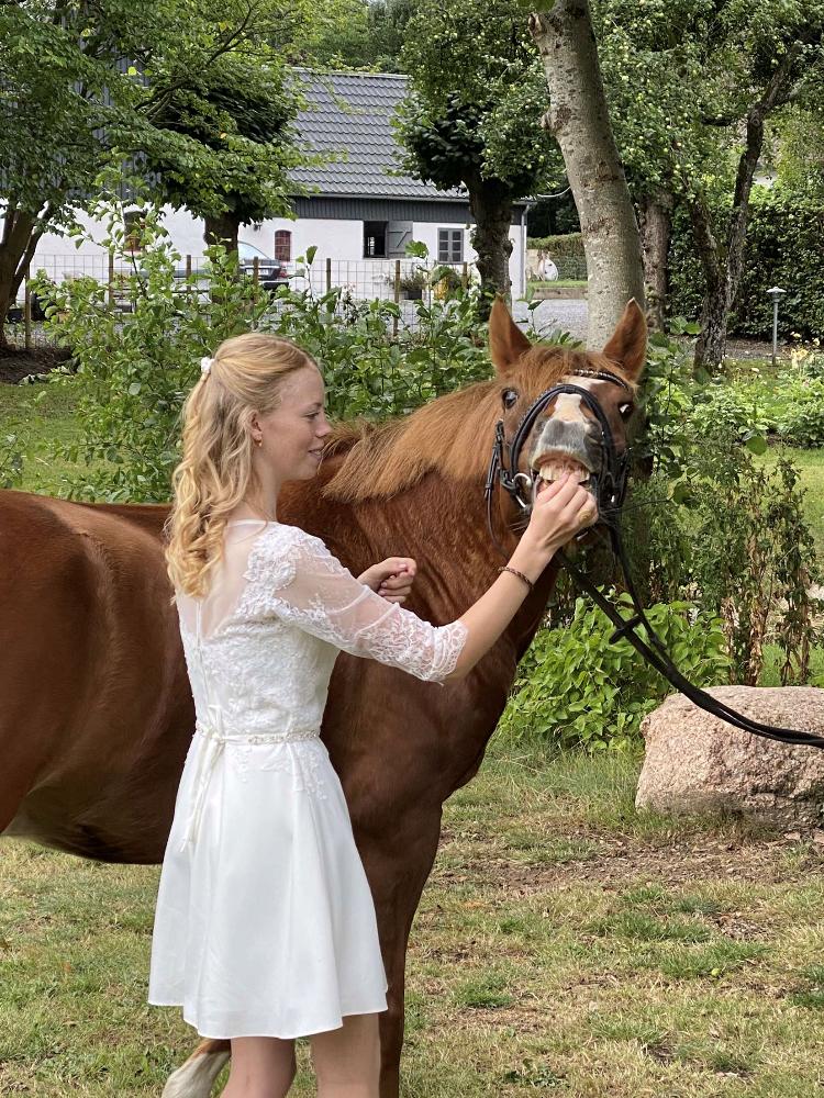 DSP Snorgaards Mango billede 8