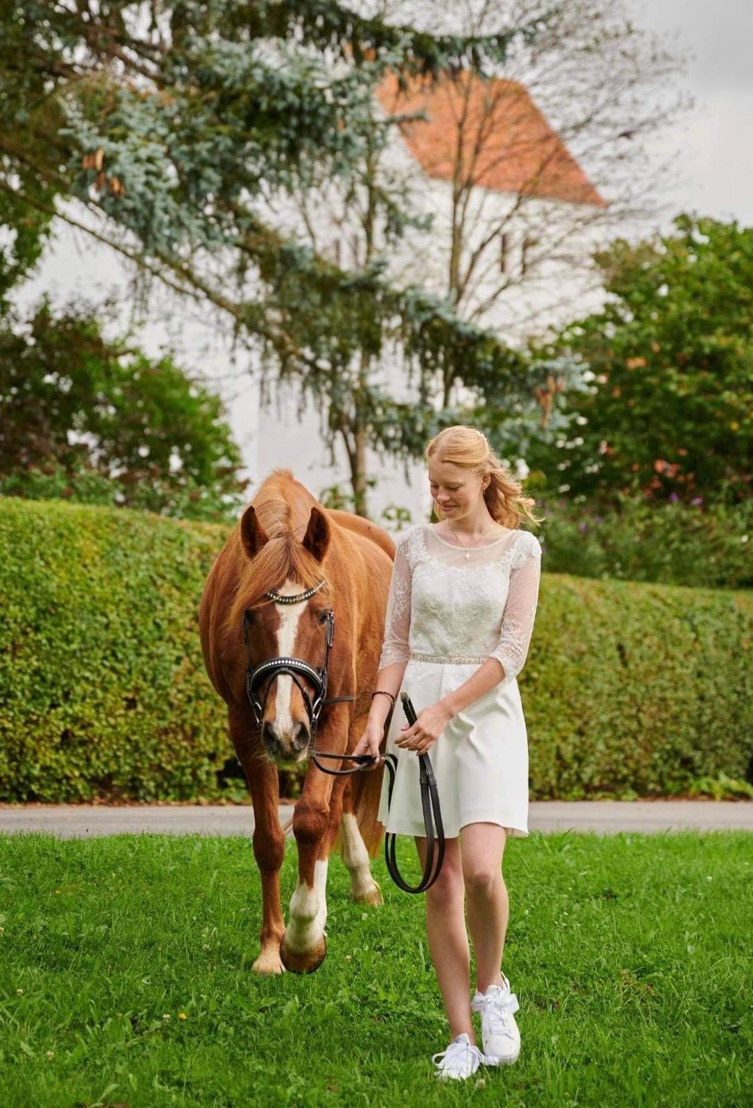 DSP Snorgaards Mango billede 9