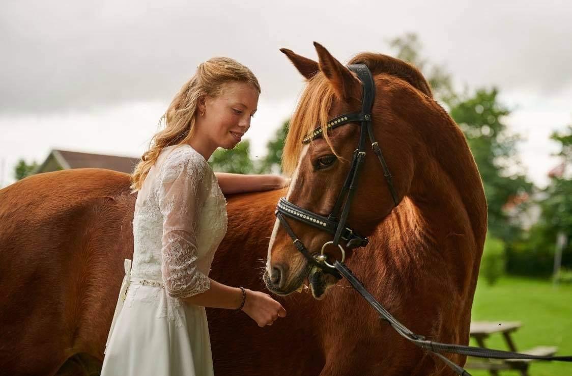 DSP Snorgaards Mango billede 12