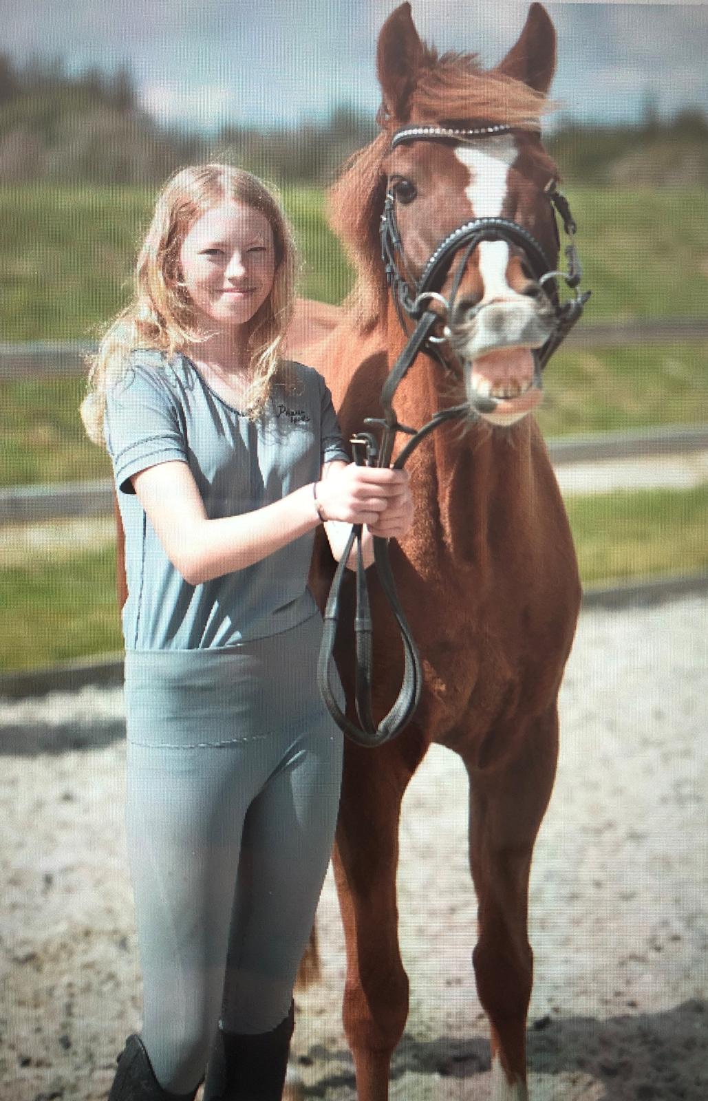 DSP Snorgaards Mango billede 13