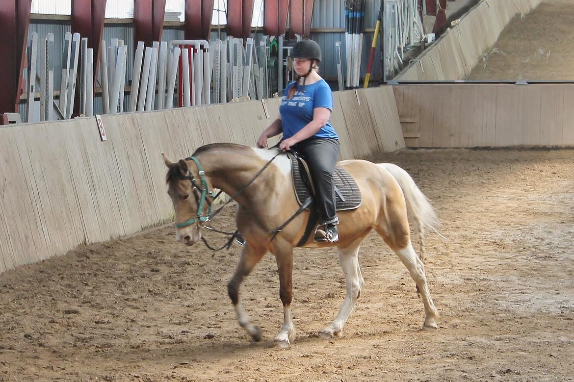 Tennessee Walker | Coin's Up for Justice billede 10