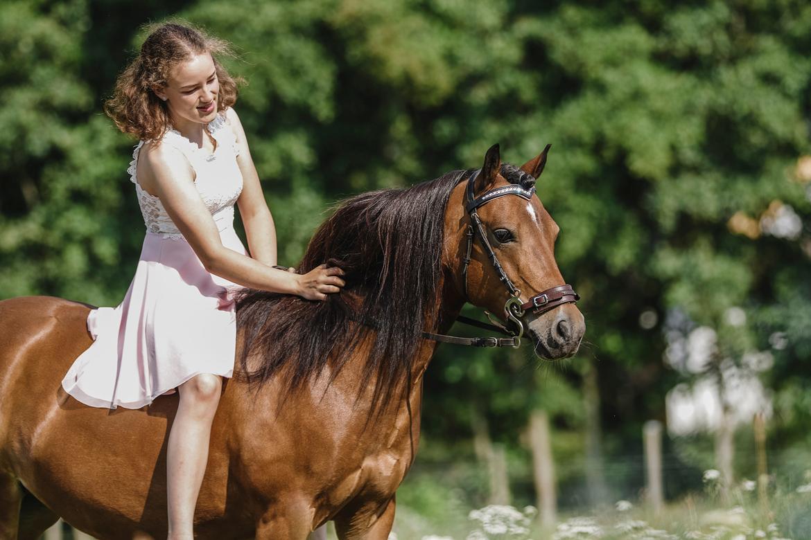 Welsh Partbred (Sec F) Flower - Hun er simpelthen alt for lækker. Billede af Katrine Hallund. billede 6