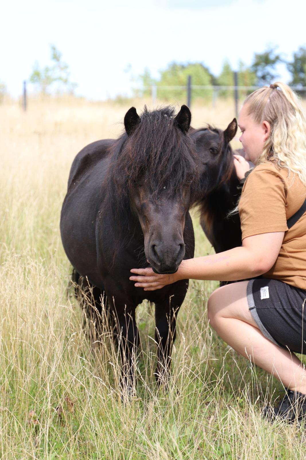 Anden særlig race Turn and burn  billede 1