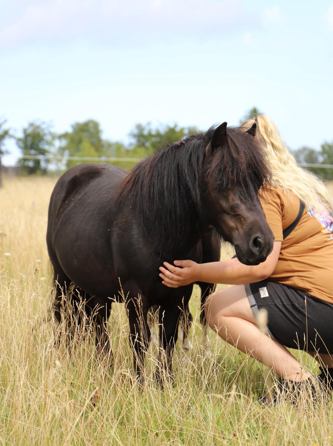 Anden særlig race Turn and burn  billede 2