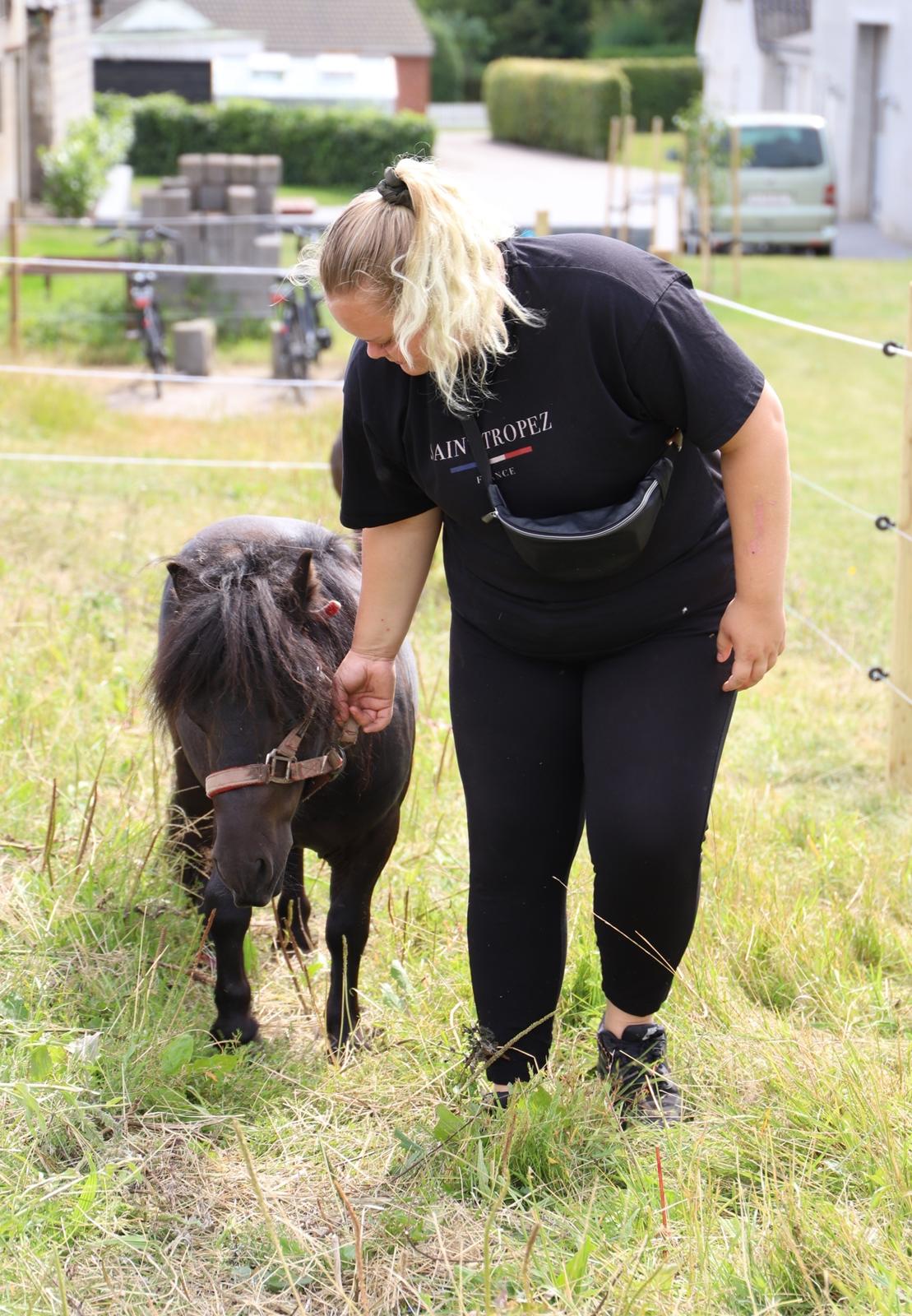 Anden særlig race Turn and burn  billede 9
