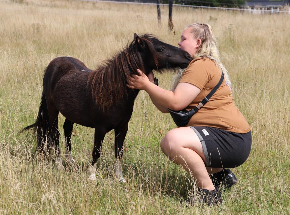 Anden særlig race Capaia billede 3