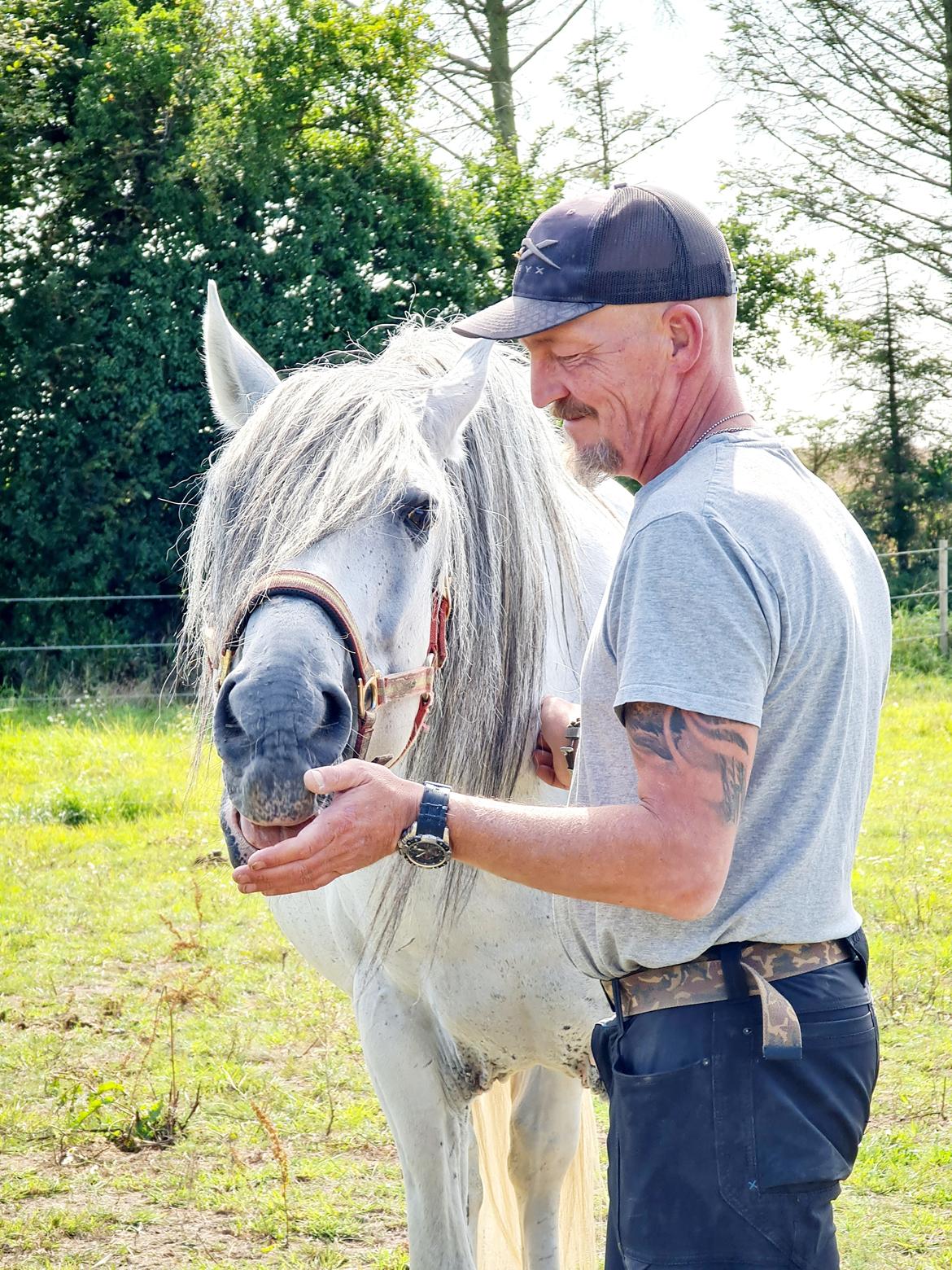Cruzado Serranito  billede 8