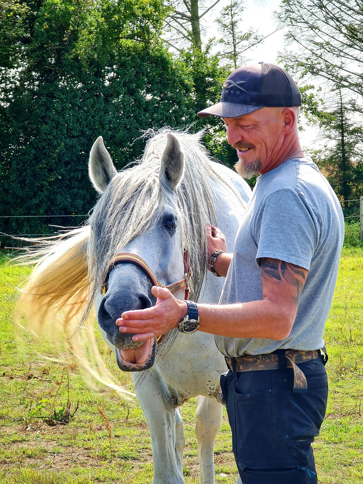 Cruzado Serranito  billede 9