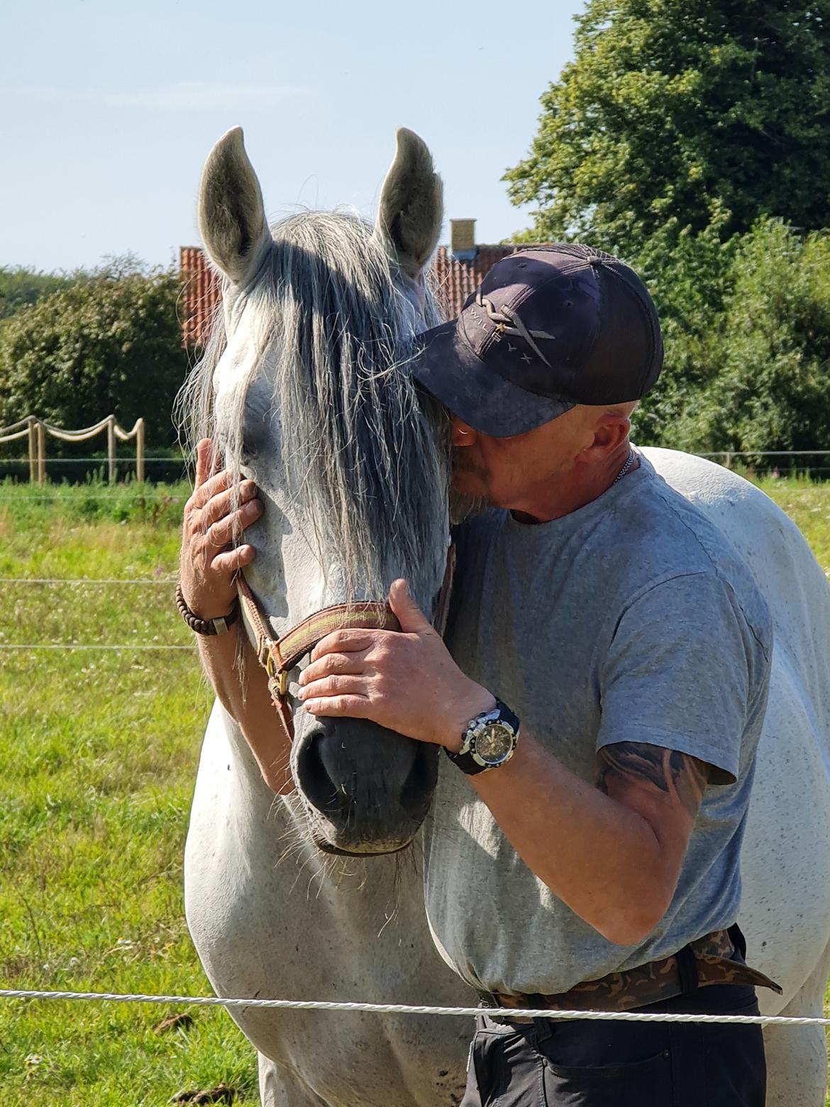 Cruzado Serranito  billede 10