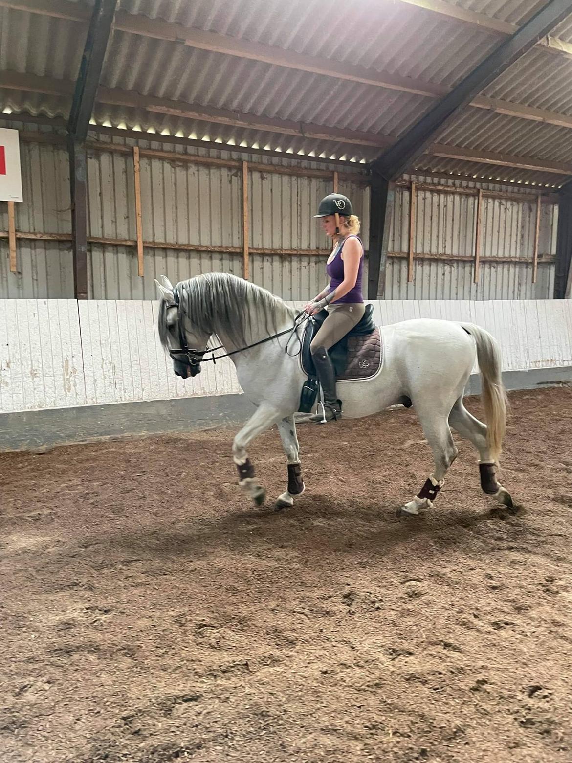 Cruzado Serranito  billede 14