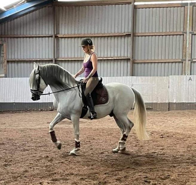 Cruzado Serranito  billede 15