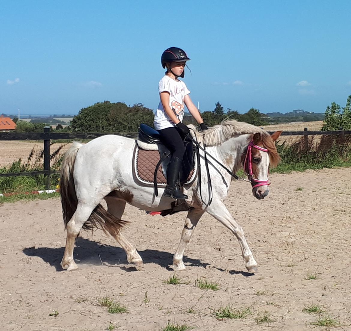 Anden særlig race Line - August 2021. Der kommer lidt mere smidighed  billede 17