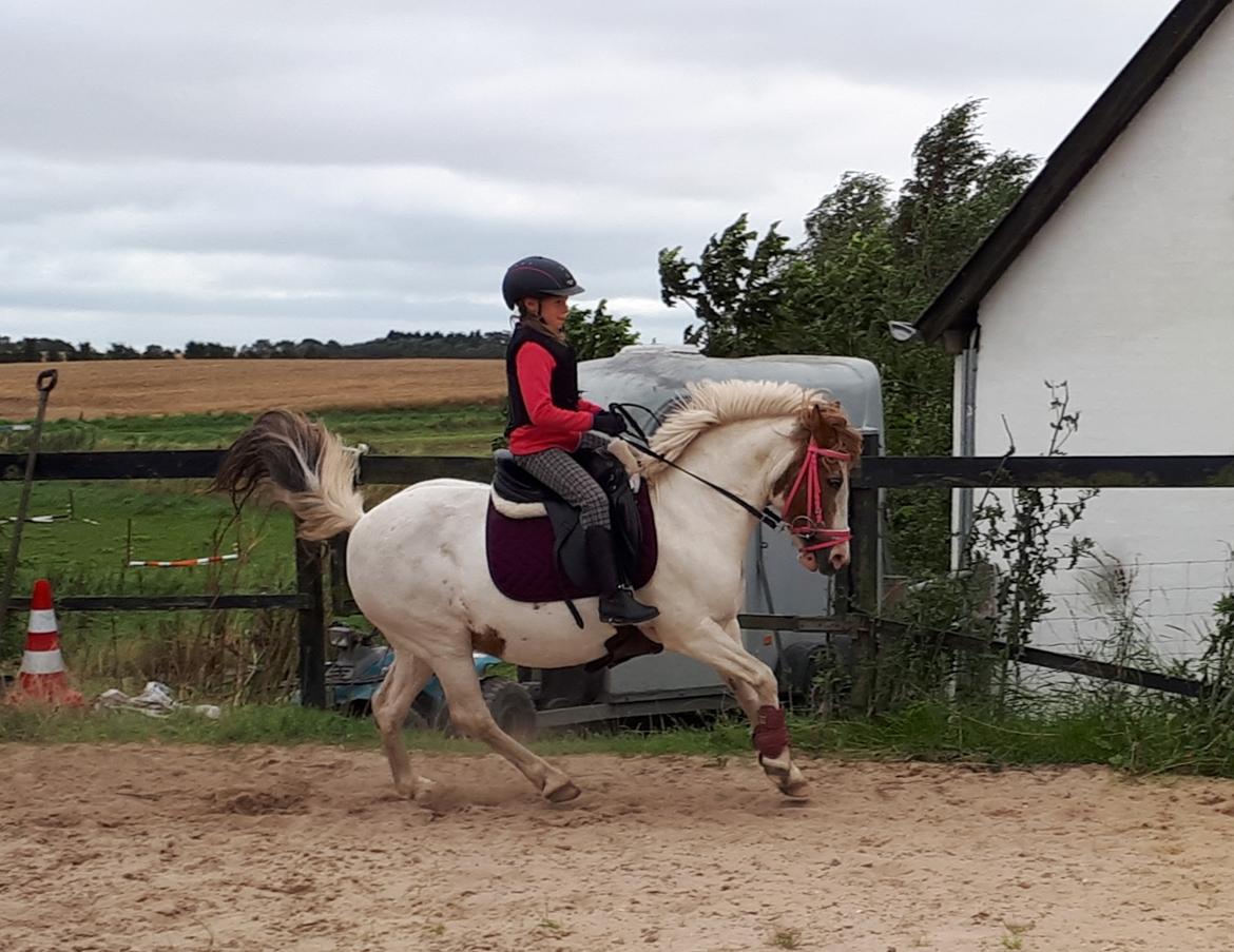 Anden særlig race Line - 28. august 2021 billede 18