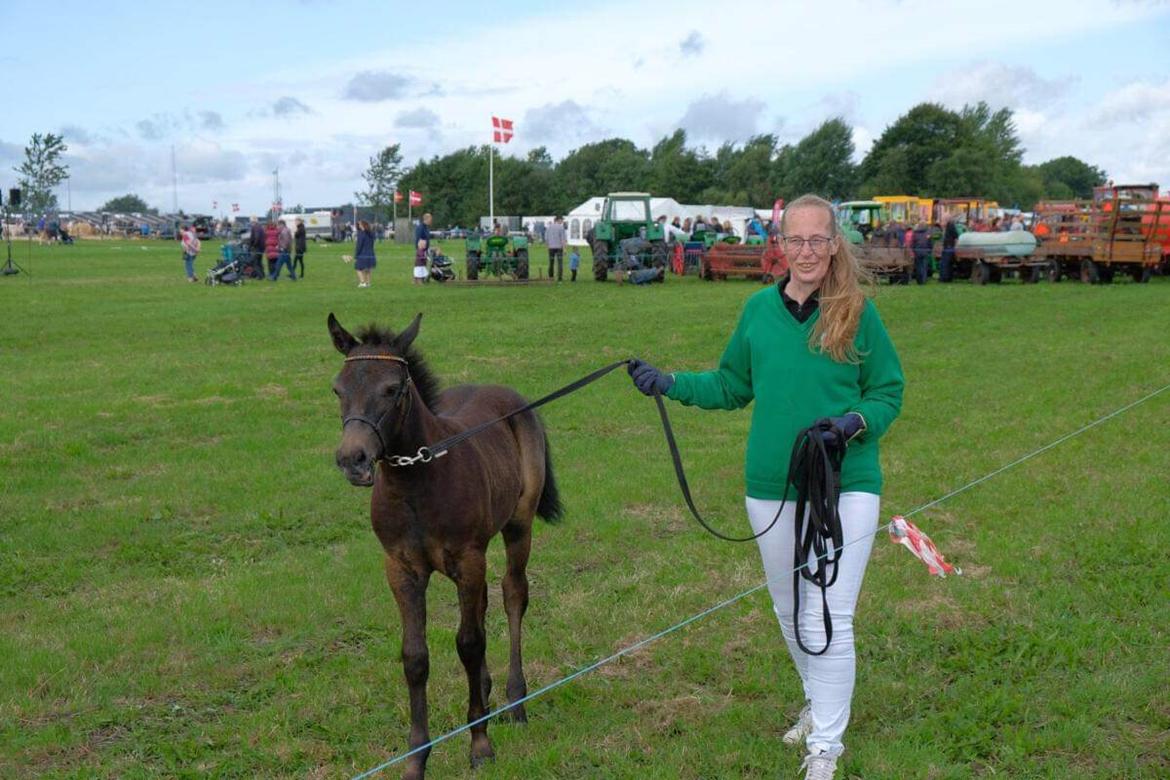 Connemara Ålskovs wannabee fearless billede 5