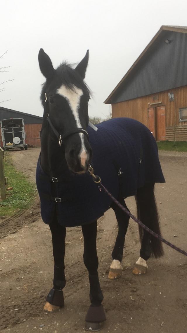 Oldenborg Solo Hit billede 2