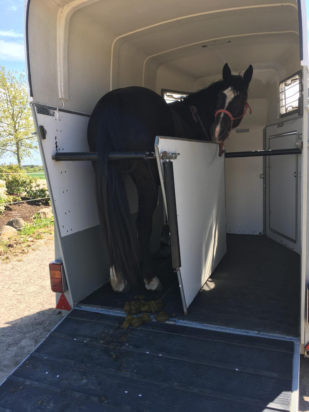 Oldenborg Solo Hit billede 9