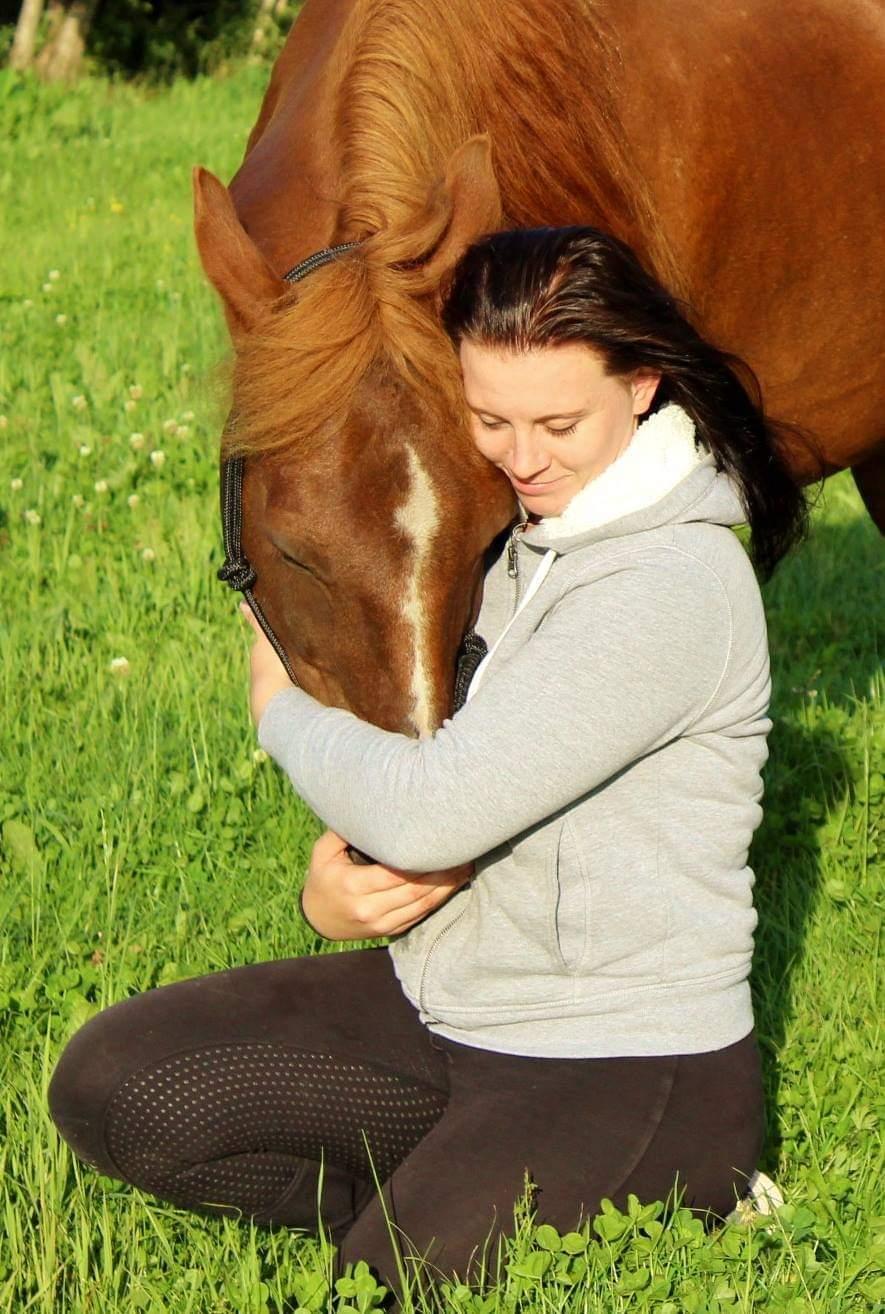 New Forest Grønvangs Surprise |Solleh| [R.I.P] billede 4