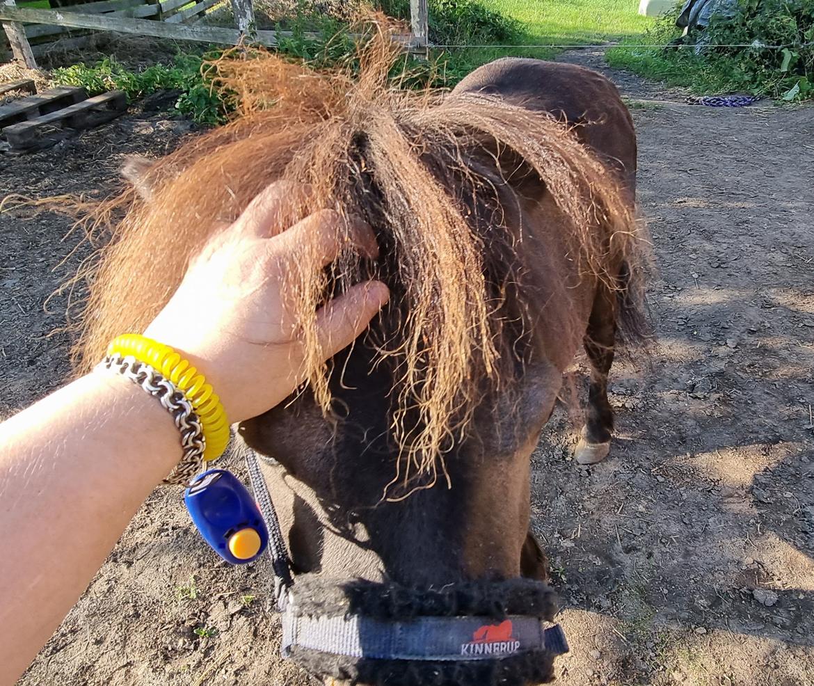 Anden særlig race I Luna billede 10