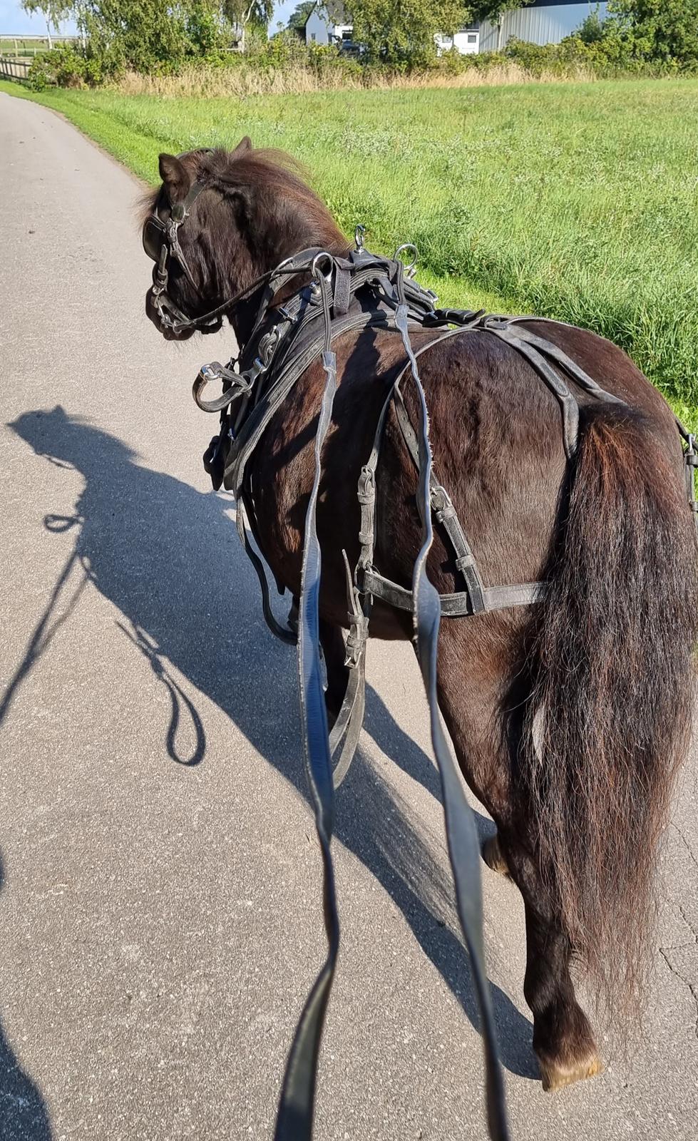 Anden særlig race I Luna billede 6