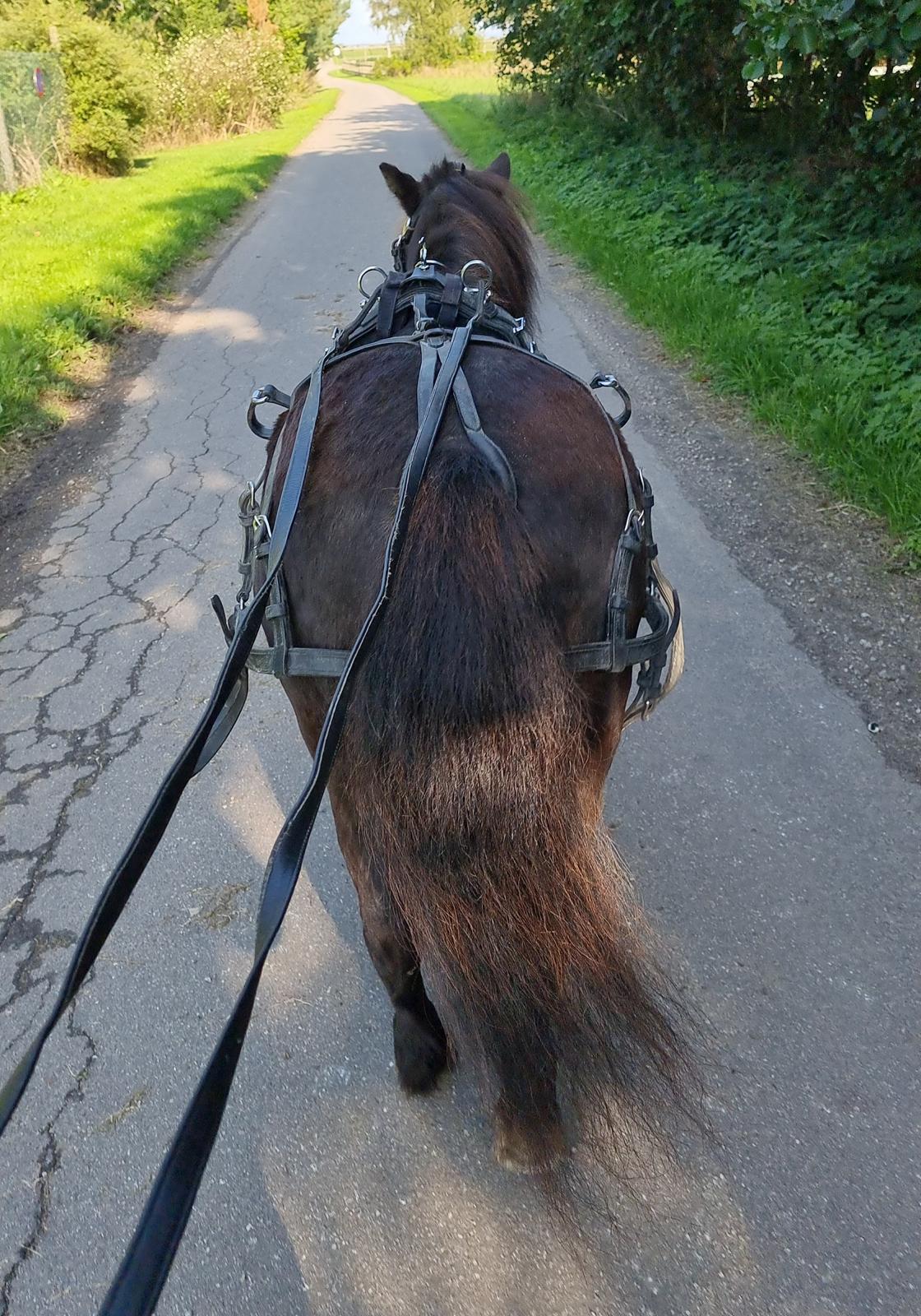 Anden særlig race I Luna billede 7