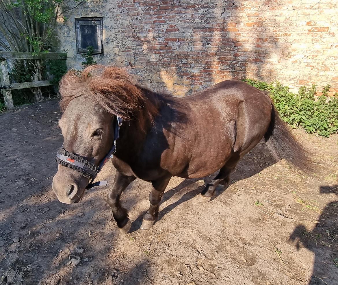 Anden særlig race I Luna billede 11