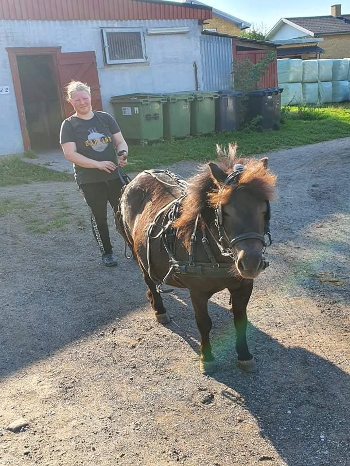 Anden særlig race I Luna billede 4