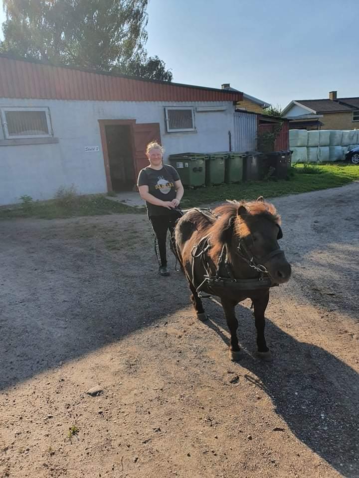 Anden særlig race I Luna billede 5