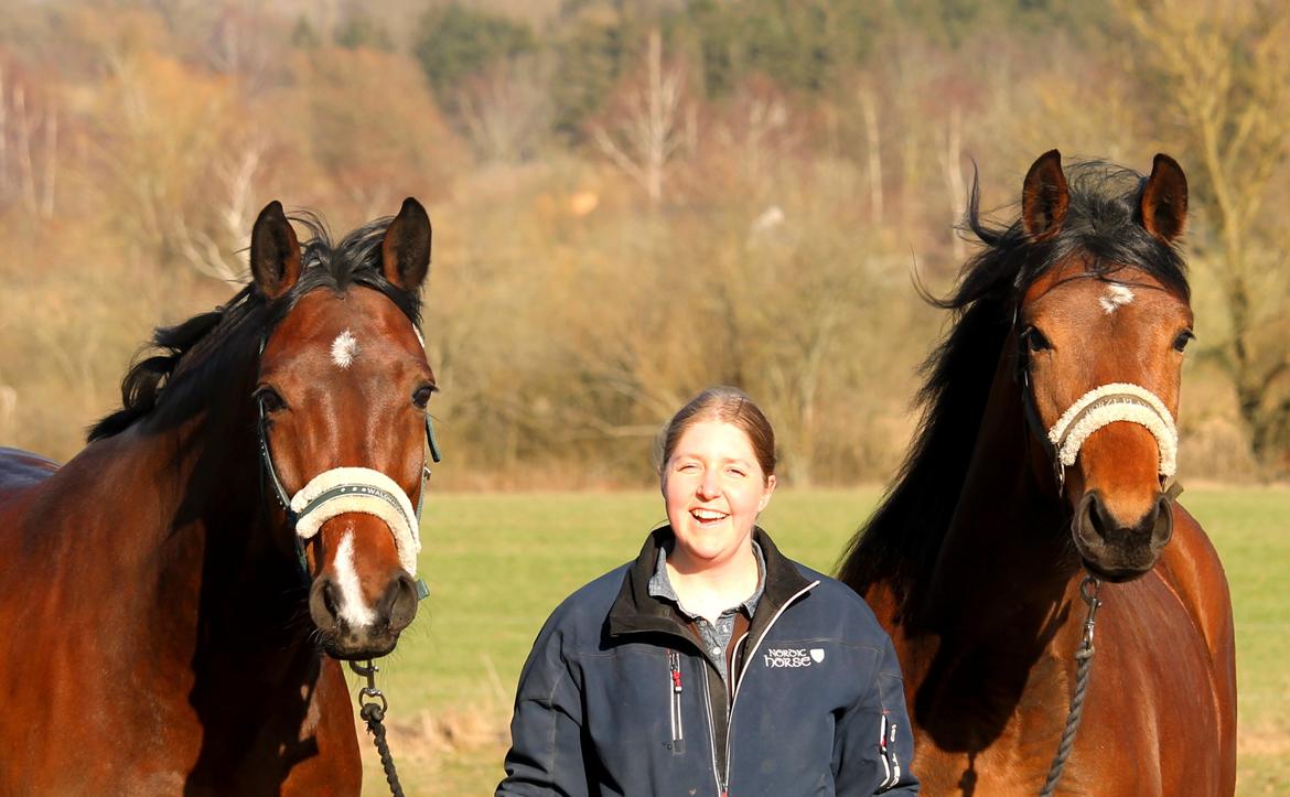 Tysk Oldenburger Bastbjergs Fleur de Lis (Fut Fut) billede 49