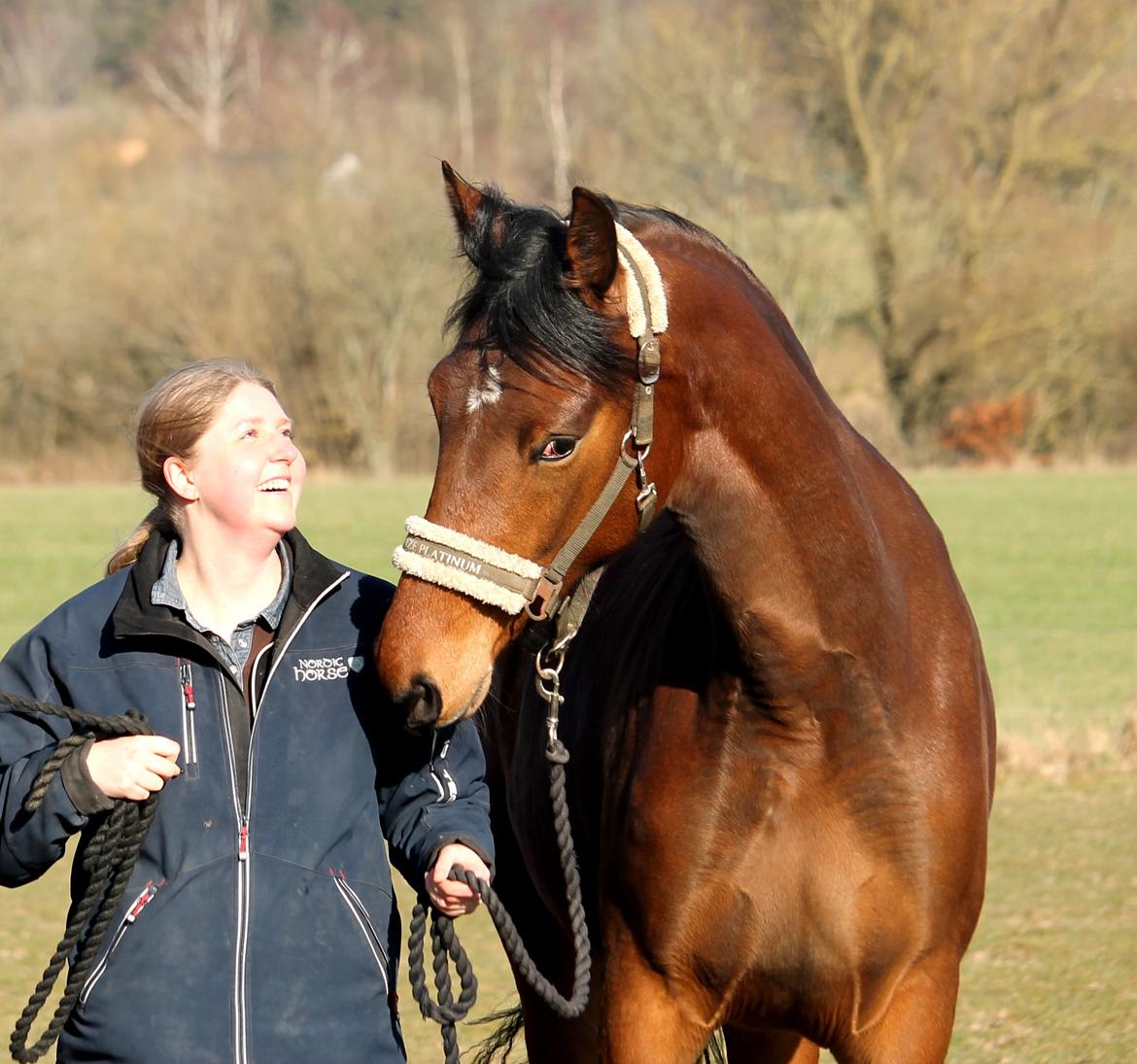 Tysk Oldenburger Bastbjergs Fleur de Lis (Fut Fut) billede 48