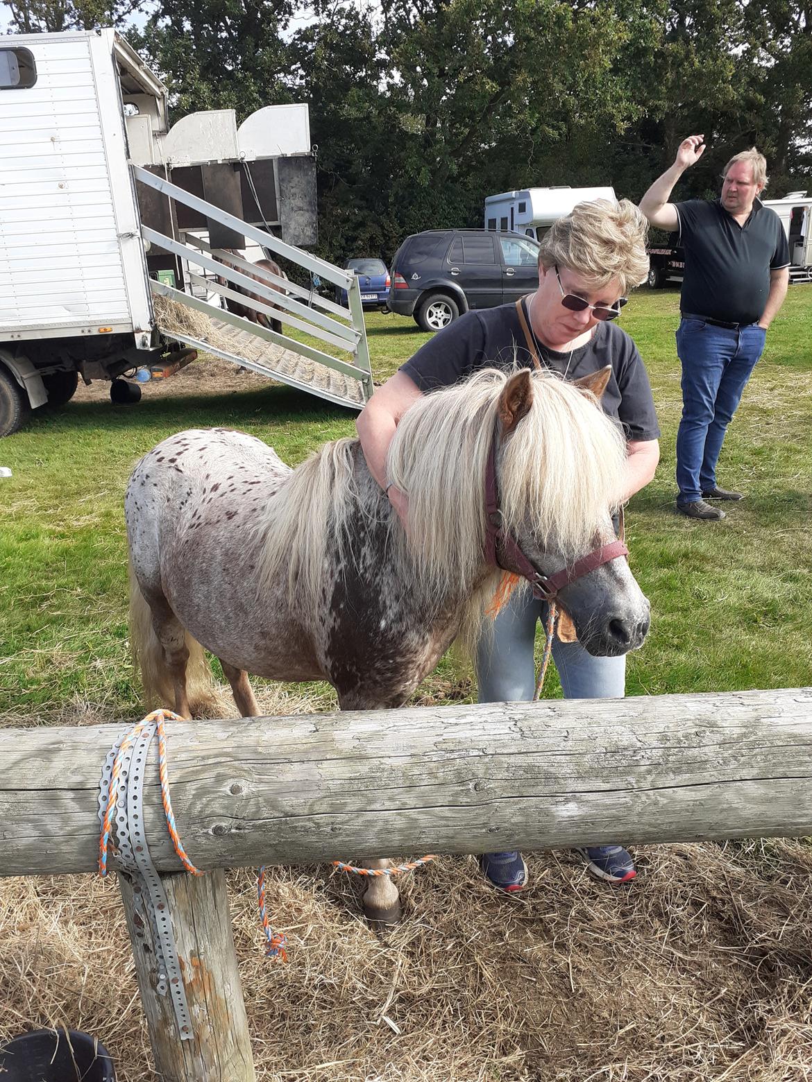 Anden særlig race Bastian billede 7