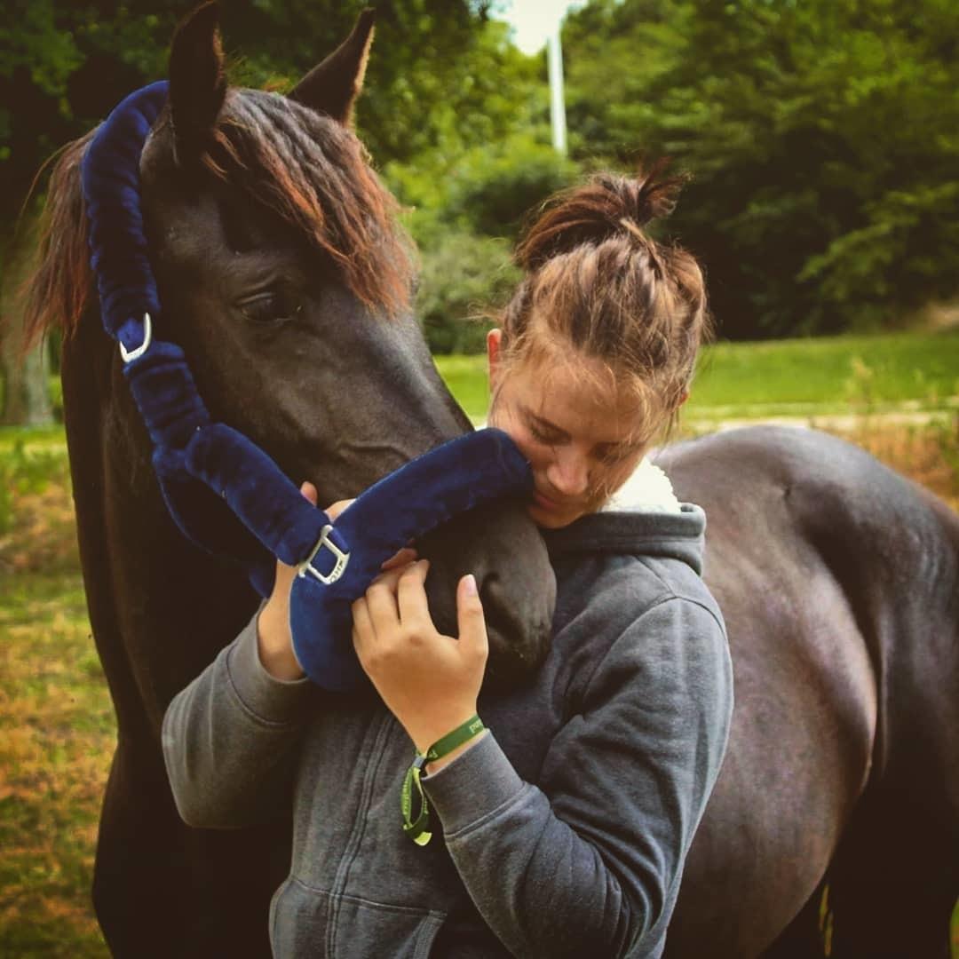 Barockpferd Grønvangs Lunara Ebony [Solgt] billede 11