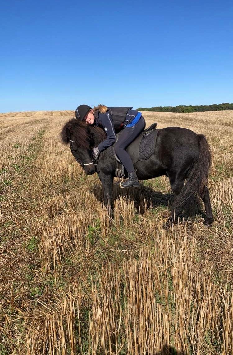 Islænder Fengur fra stubbebro - Første gang vi prøver kræfter med stubmarkerne, vi er kæmpe fan!! billede 1