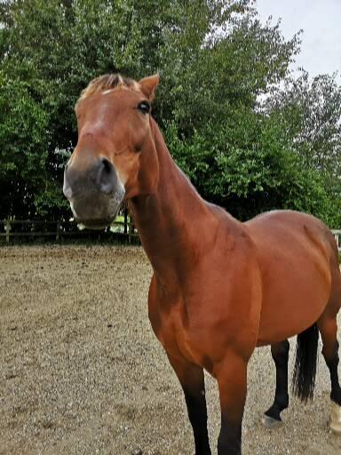 Traver Zygor <3 billede 16