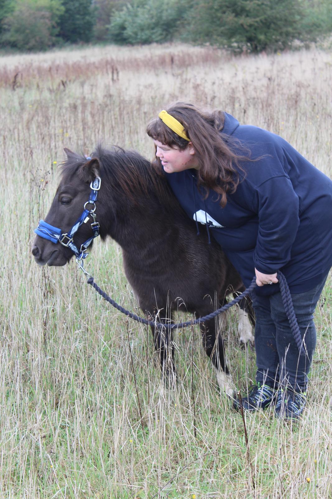 Shetlænder Coco - 06-10-2021 Fra det sidste fotoshoot med Coco, inden hun afhentes 9/10-21 Foto: Min kæreste billede 49