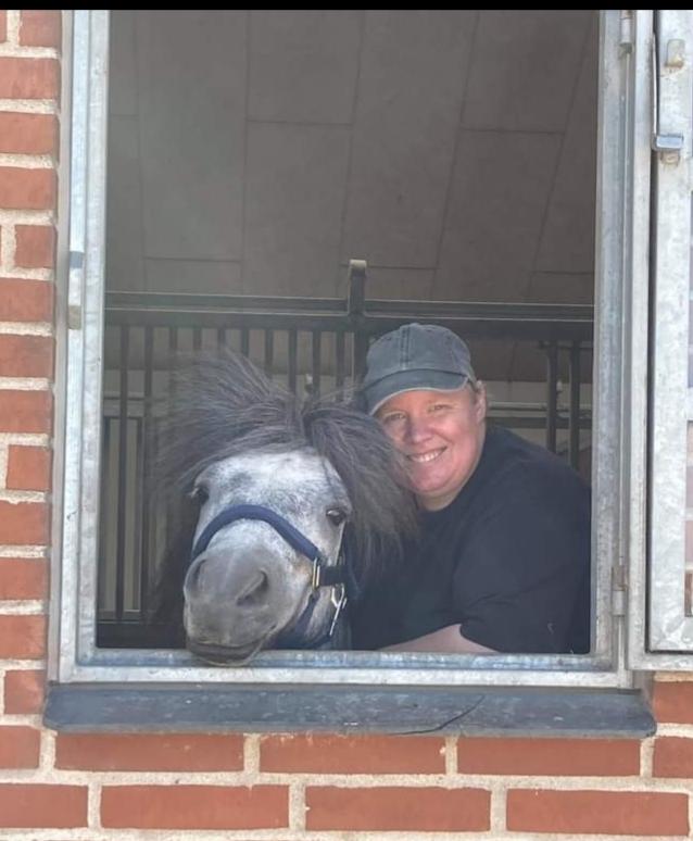 Shetlænder Engholms malik billede 6