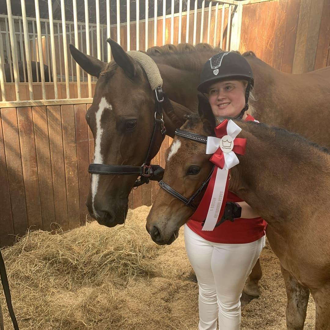 Dansk Varmblod CK' Kimberly Star - 2021 - På vilhelsborg til følkårning billede 11